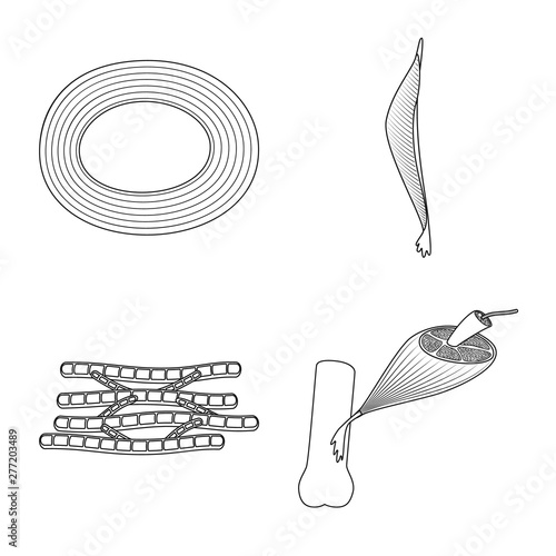 Isolated object of fiber and muscular sign. Collection of fiber and body stock symbol for web.