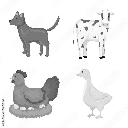 Isolated object of homestead and agriculture symbol. Collection of homestead and kitchen stock symbol for web.