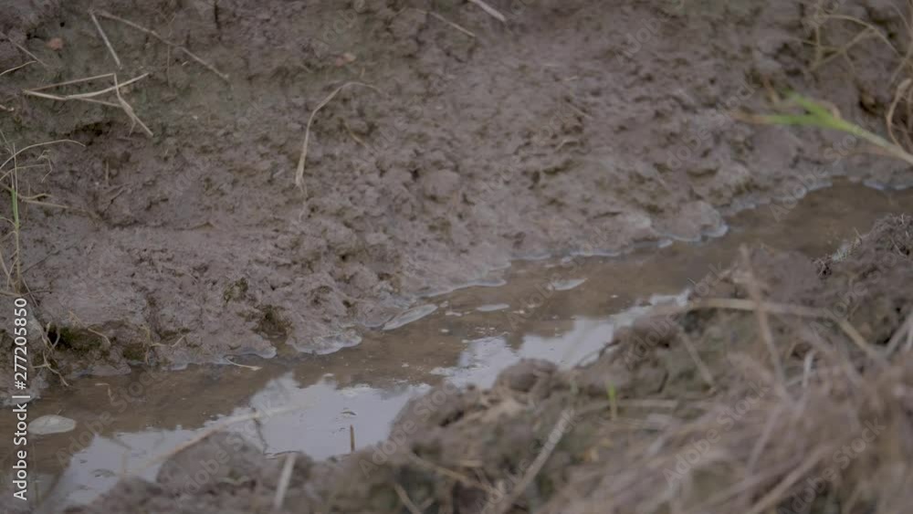 Prepare the soil Prepare the soil