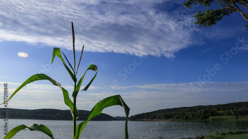 Landscape of Wuhan East Lake of Hubei province.East Lake Scenic Area of Wuhan