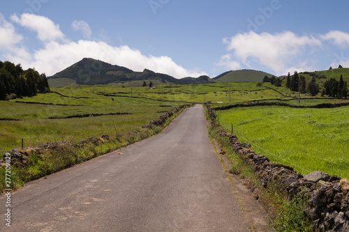 Country road, Sao Miguel, Azores Islands