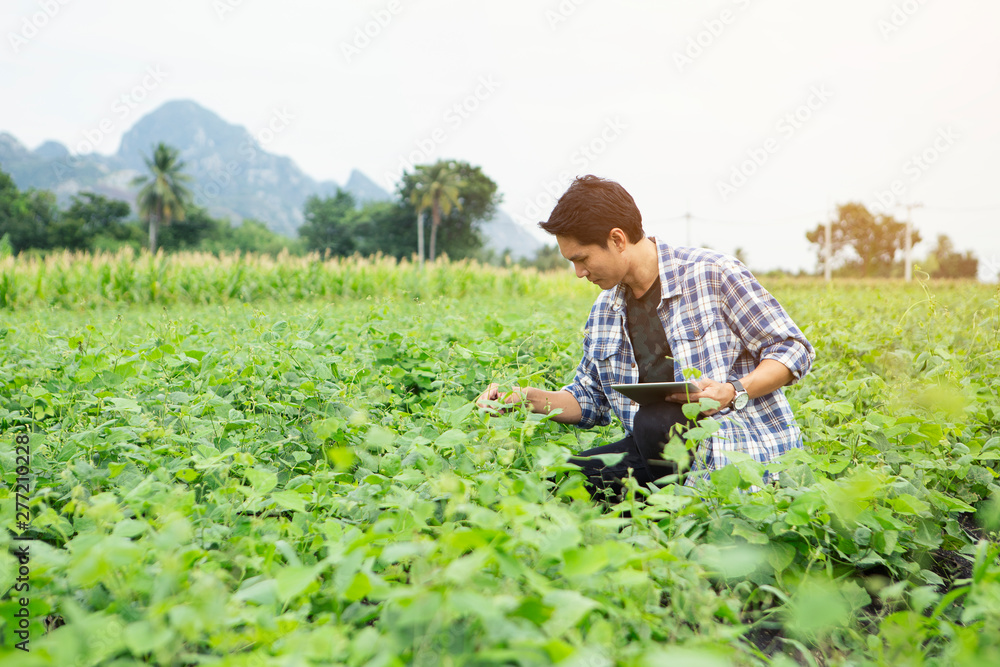 Smart farmers are monitoring crop growth. Smart farmers are monitoring crop growth.