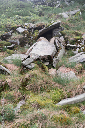 Rock formations in a fog in Bieszczady Mountains  Poland. Vertical orientation.