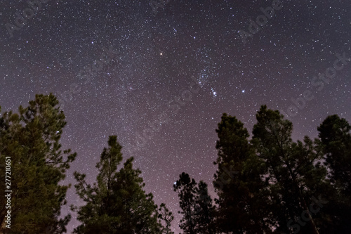 Starry night sky in Flagstaff, Arizona