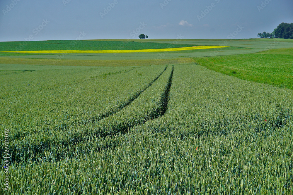 Landschaft auf der Schwäbischen Alb mit Getreidefelder