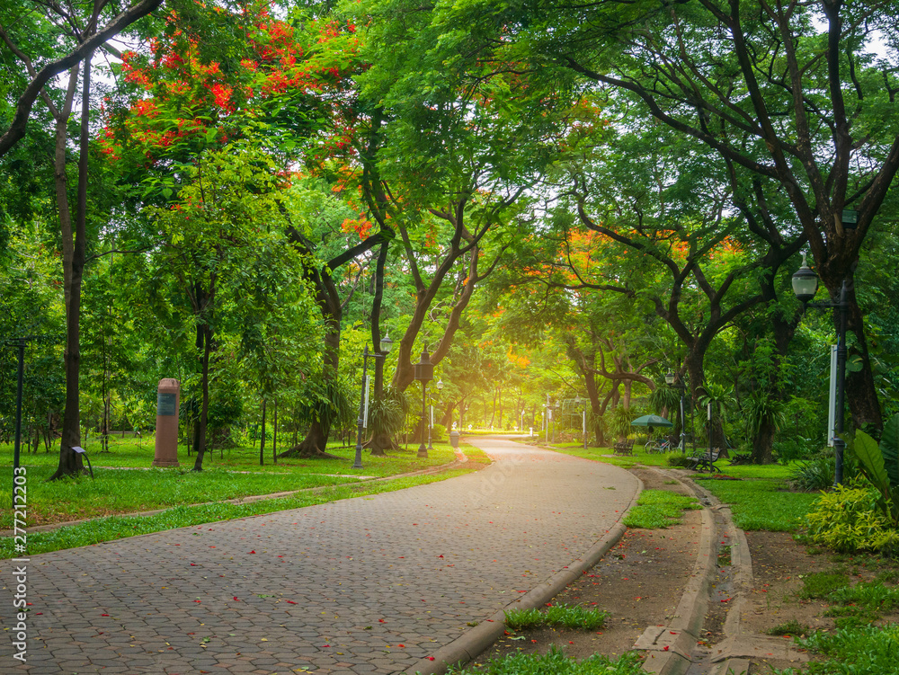 large green park in the middle of the city for relaxing and exercising on holiday -  nature concept