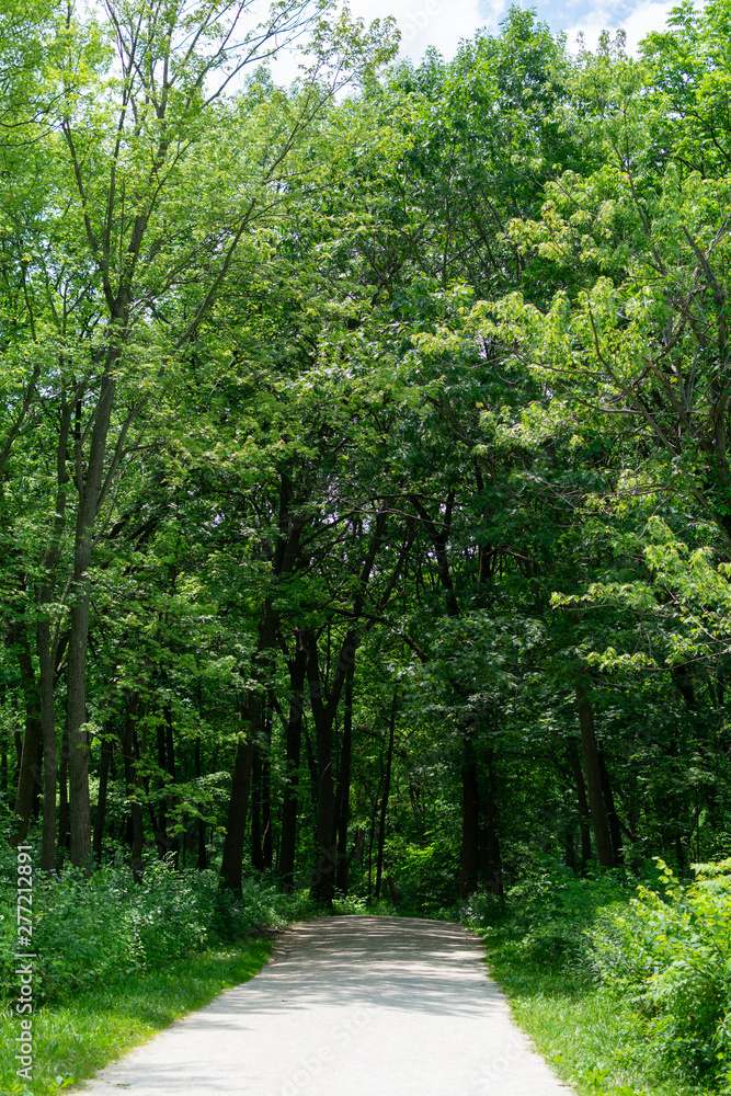 Green Shaded Trail at Waterfall Glen Forest Preserve in Suburban Lemont Illinois Green Shaded Trail at Waterfall Glen Forest Preserve in Suburban Lemont Illinois