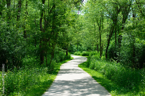 Green Curving Trail at Waterfall Glen Forest Preserve in Suburban Lemont Illinois