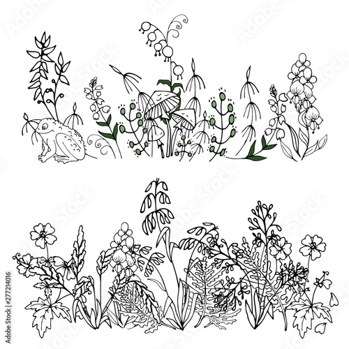 wild flowers and leaves in Doodle style  composition of  stylized wild plants  vector illustration on white background