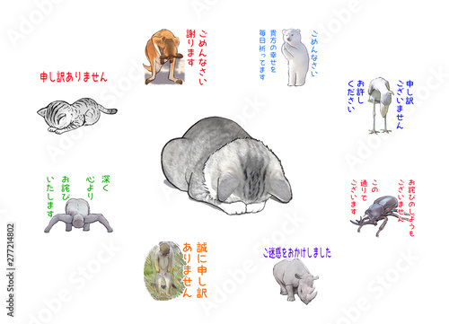 Cuadro en lienzo 謝罪ネコと謝る動物達