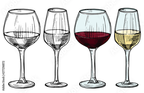Hand drawn glasses with red and white wine vector illustration. Alcohol white and red drink wine, sketch beverage in wineglass