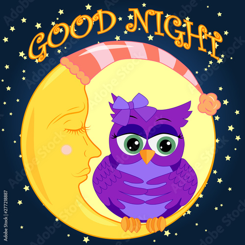 A sweet fairy-tale pink owl in a hat for dream dreams, sings a lullaby, lulls the sky, the moon and stars sitting on a sleeping sickle of the moon among a dark night sky and stars
