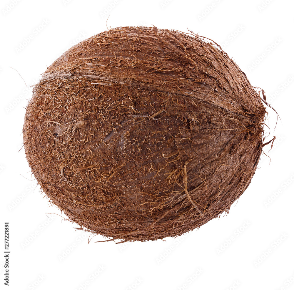coconut nut isolated on white background clipping path coconut nut isolated on white background clipping path