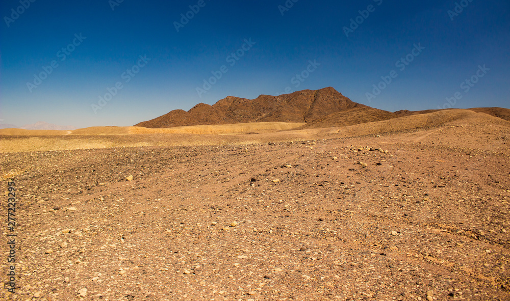 wasteland desert scenery landscape photography of sand stone dry valley foreground and mountains background in warm sunny weather time  