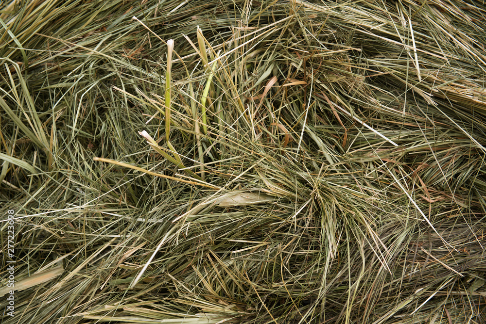 Brown gray dry grass (hay). Background,texture Brown gray dry grass (hay). Background,texture