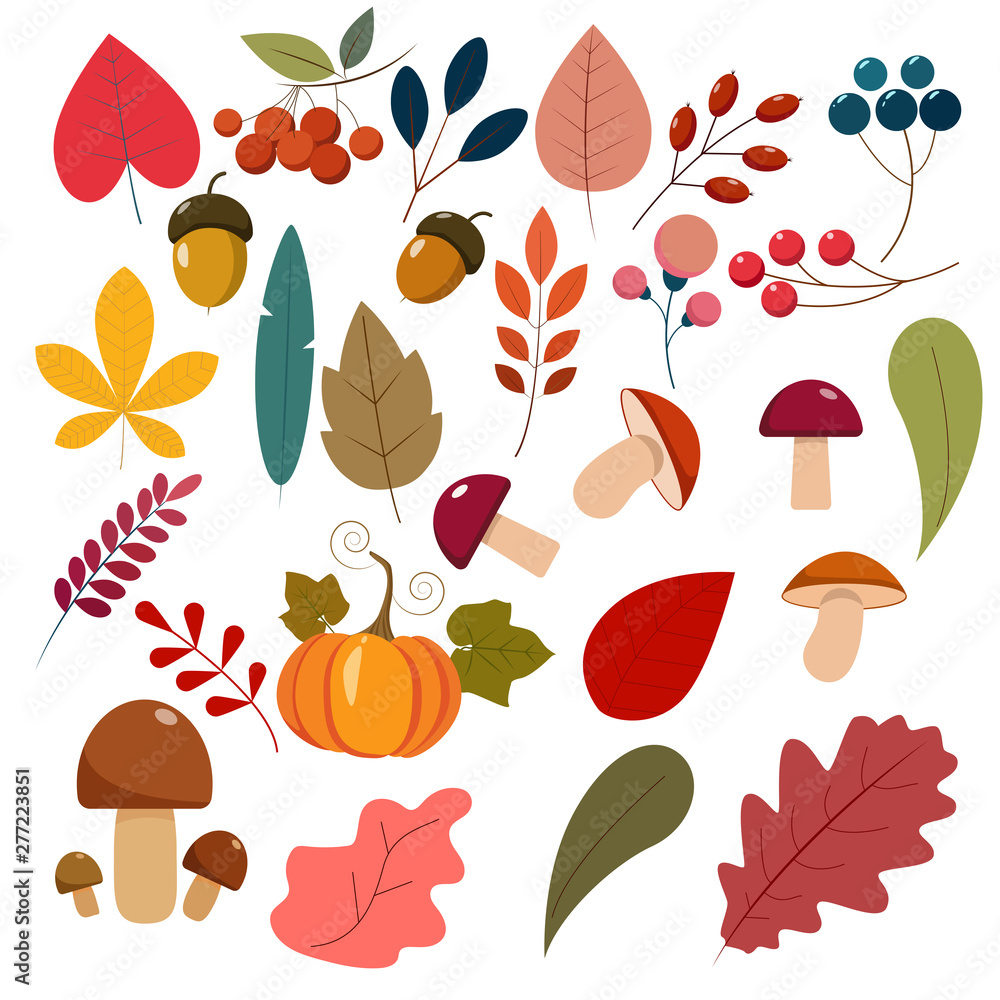 Fototapeta Zestaw liści jesienią, jagody, grzyby, dynia. Płaskie elementy kreskówek dla swojego projektu.