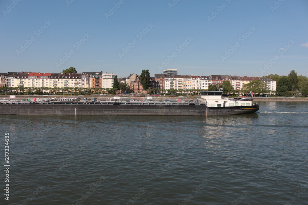 View fro the Rhine river View fro the Rhine river