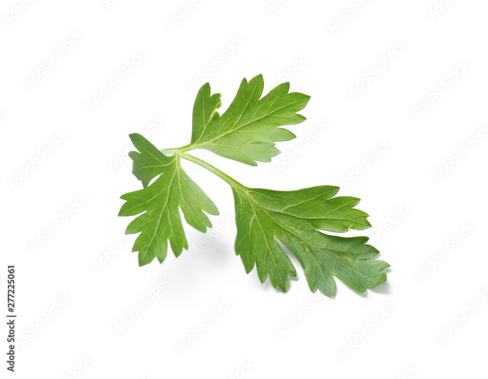 Fresh green organic parsley on white background Fresh green organic parsley on white background