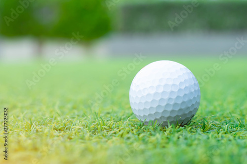 golf on the green grass
