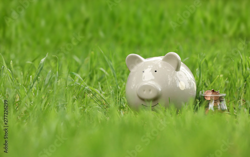 Cute piggy bank and jar with coins on green grass in park. Space for text