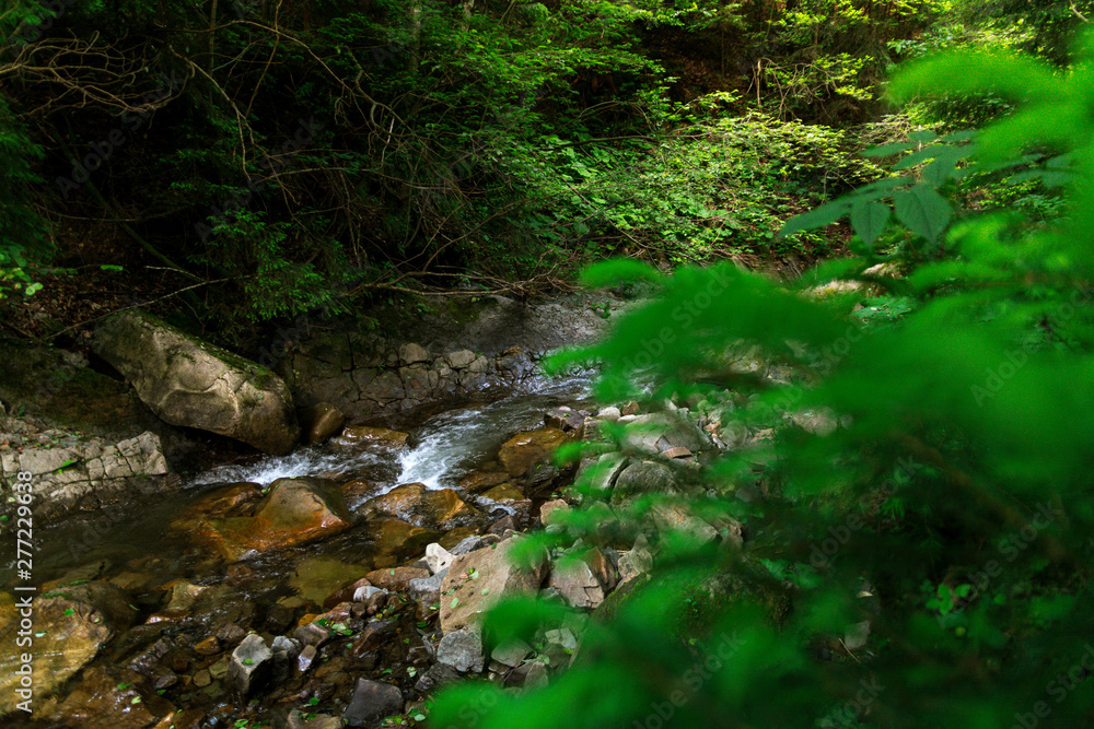 Mountain river water landscape. Wild river in mountains. Mountain wild river water view Mountain river water landscape. Wild river in mountains. Mountain wild river water view