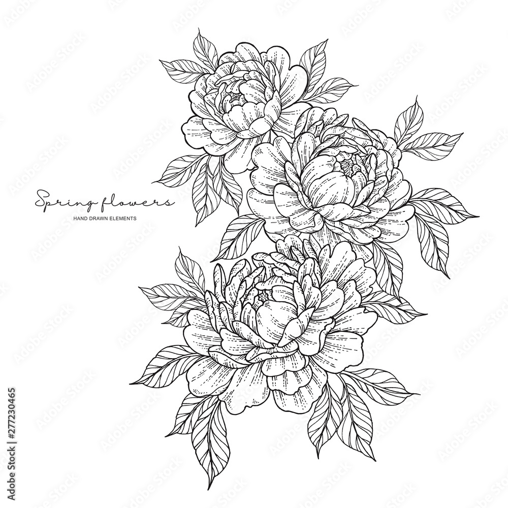 Peony Flowers And Leaves Tattoo Compositions Black Linear Illustration  Isolated On A White Background Royalty Free SVG Cliparts Vectors And  Stock Illustration Image 147888465