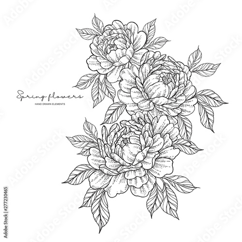 Peony flowers in japanese tattoo style. Hand drawn inked flowers. Black and white floral elements. Vector illustration.