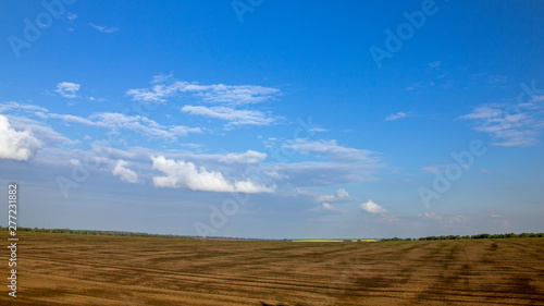 Fototapeta Naklejka Na Ścianę i Meble -  Black fertile soil on a sprinkled spring field. Landscape