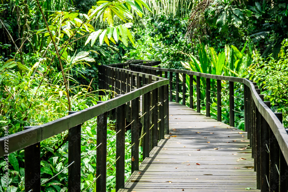 Costa Rica landscape: wooden pathway through the jungle at Cahuita National Park. 