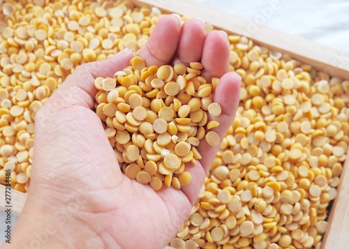 Hand Holding Dried Soybeans in A Wooden Tray