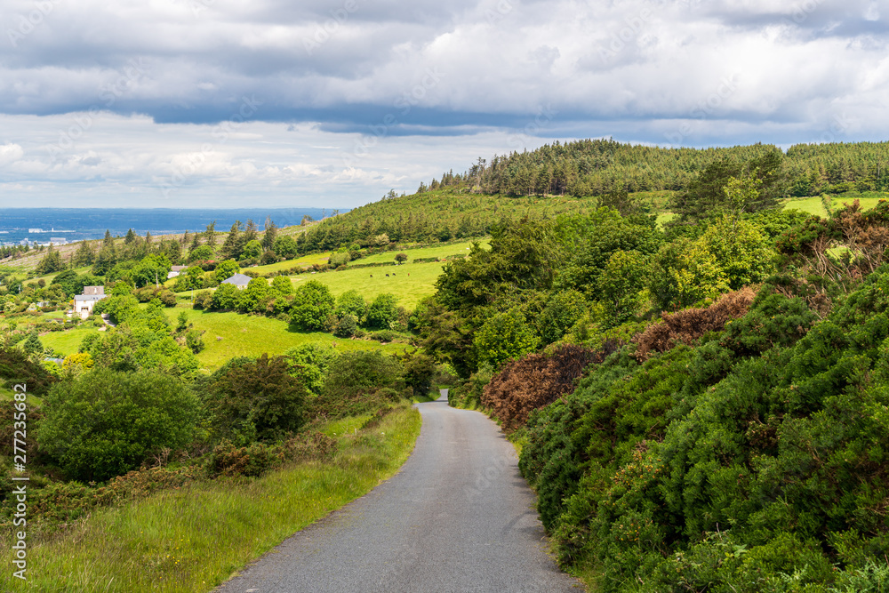 Empty country narrow asphalt road winding through green forest covered hills and valleys. Rural scene in County Dublin, Ireland on a summer day.