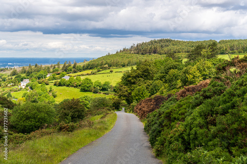 Fototapeta Naklejka Na Ścianę i Meble -  Empty country narrow asphalt road winding through green forest covered hills and valleys. Rural scene in County Dublin, Ireland on a summer day.
