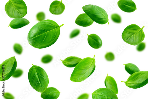 Falling basil, isolated on white background, selective focus