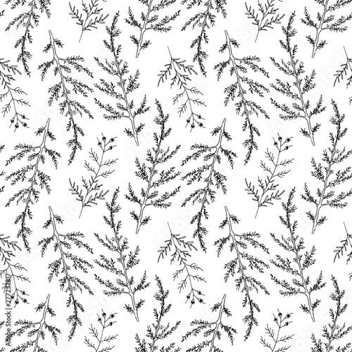 Monochrome natural pattern, hand drawing isolated. Branches of sage and herbs black lines on a white background. For textiles, wrapping paper, wallpaper. Vector illustration