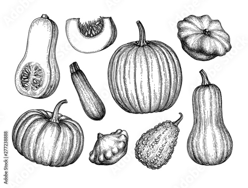 Pumpkins big set