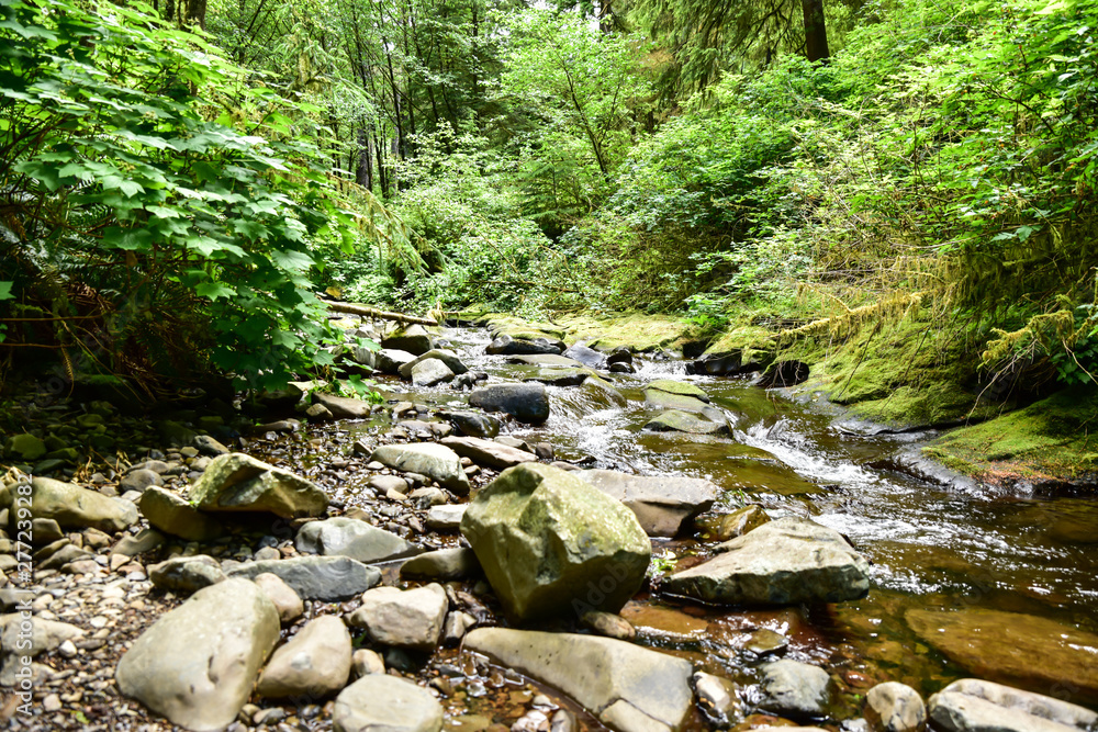 Pacific Northwest Forest and Coast Landscape Beauty Pacific Northwest Forest and Coast Landscape Beauty