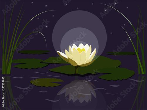 A cute cartoon style water lily illustration.  flat design.