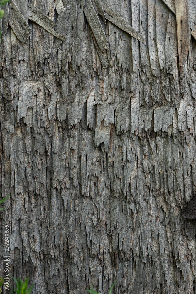Obraz premium Wooden roof of wood chips texture background old
