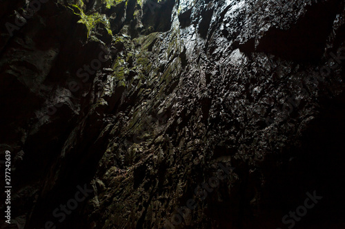 Cave opening at Gunun Mulu national park