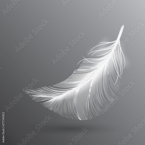 White Flying Bird Feather Isolated on Dark Background