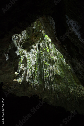 Cave opening at Gunun Mulu national park photo