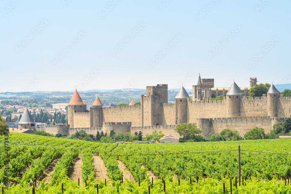 panoramic view of carcassone chateau, France