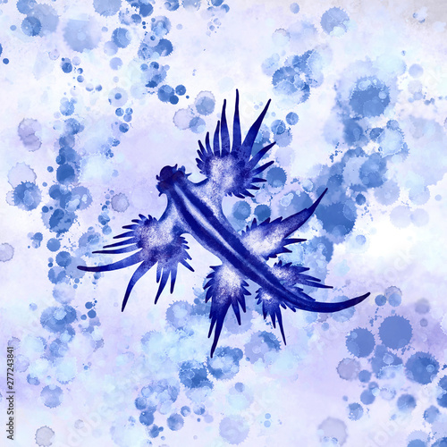 Blue Dragon Sea Slug
