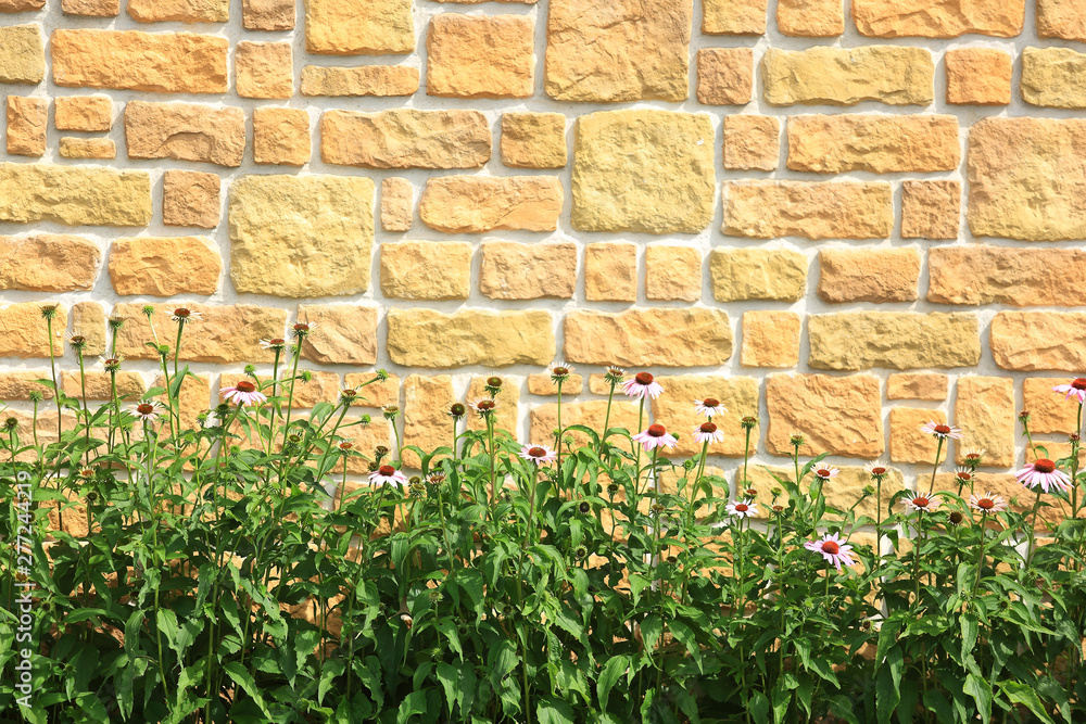 Obraz premium Kwiaty i zieleń na tle pięknej ściany z kamienia.