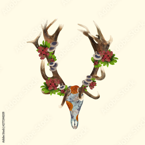 Red Stag Skull
