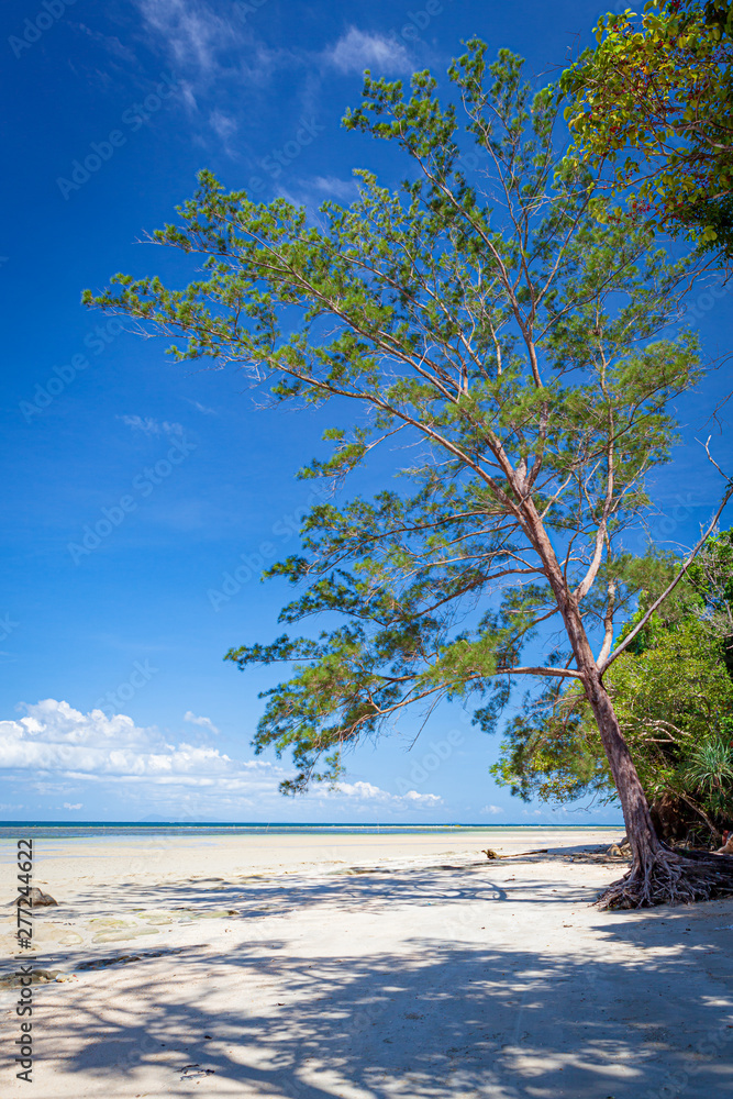 Low tide in beach borneo malaysia landscape