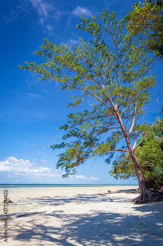 Fototapeta Naklejka Na Ścianę i Meble -  Low tide in beach borneo malaysia landscape