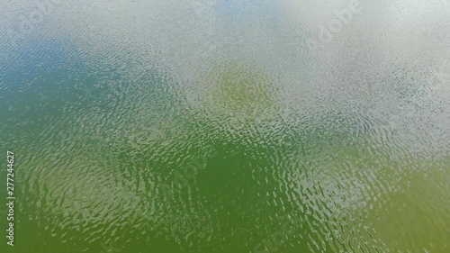 Wallpaper Mural Pond Water Close Up Fly Over Aerial. an aerial view looking down on pond water fly over Torontodigital.ca