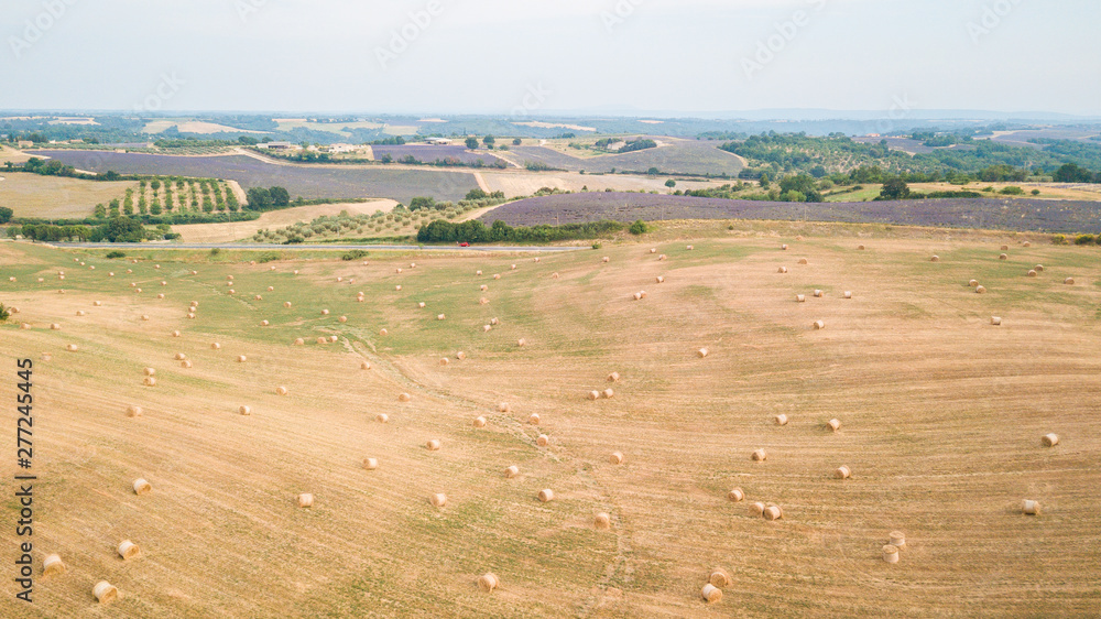 Fototapeta premium straw bale rols at countryside field