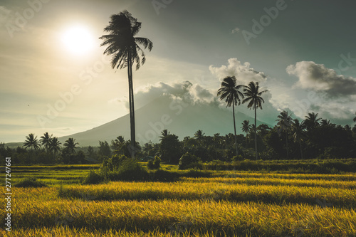 Mount Merapi, Gunung Merapi, a volcano on Java, Indonesia, illuminated by warm evening light after a heavy rain shower. Some rice fields and palm trees with a last cloud of fog infant of a blue sky. photo